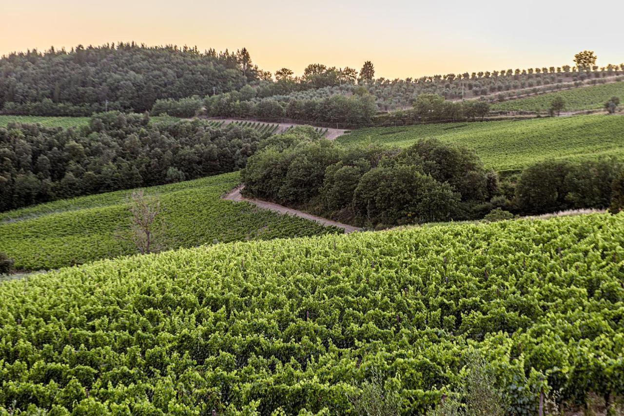 Agriturismo Concadoro Villa Castellina in Chianti Esterno foto