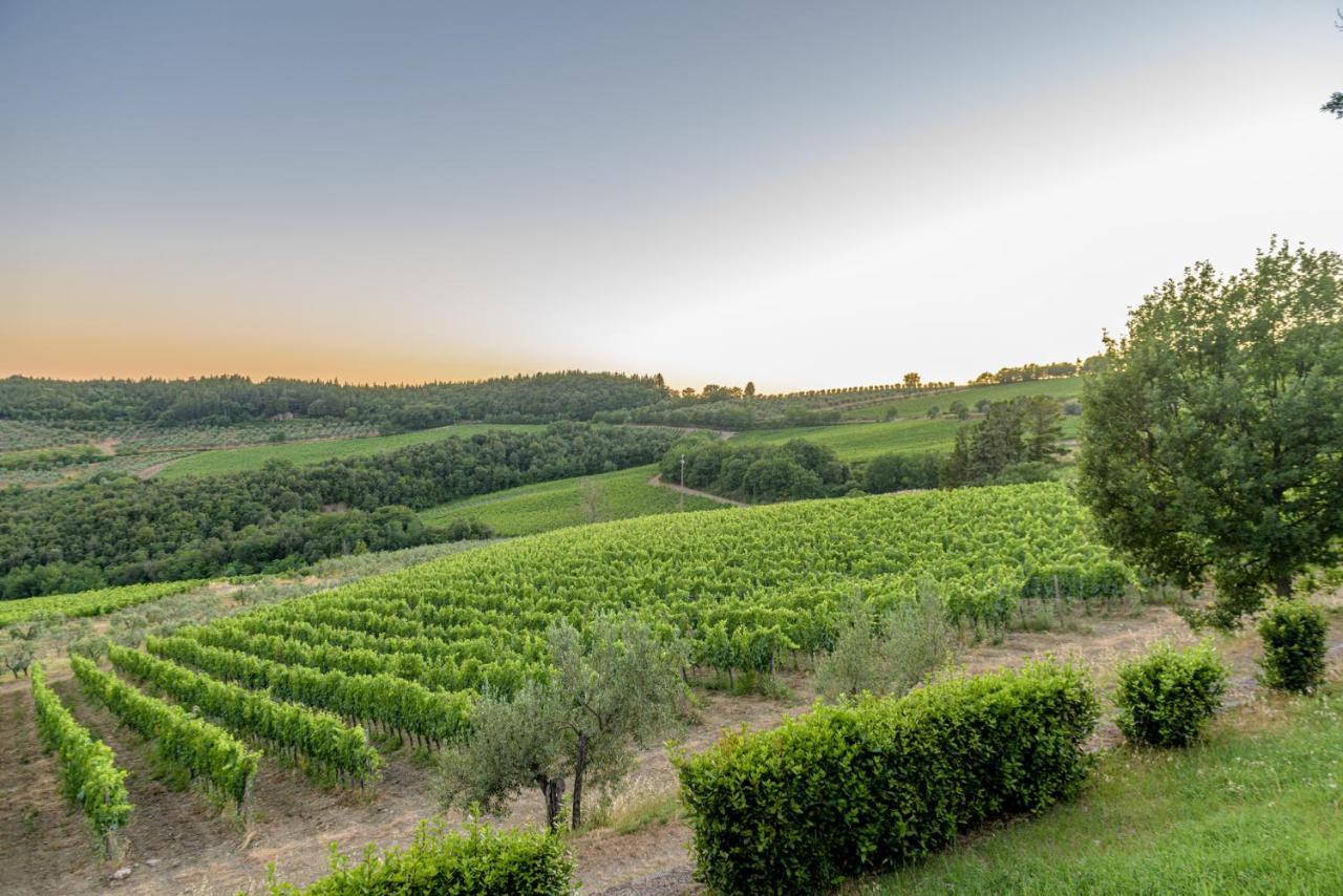 Agriturismo Concadoro Villa Castellina in Chianti Esterno foto