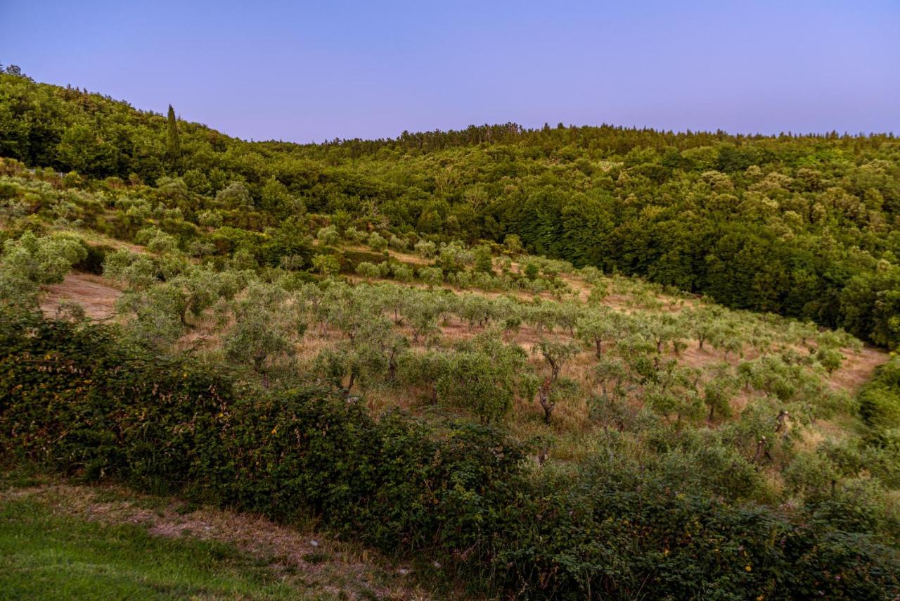 Agriturismo Concadoro Villa Castellina in Chianti Esterno foto