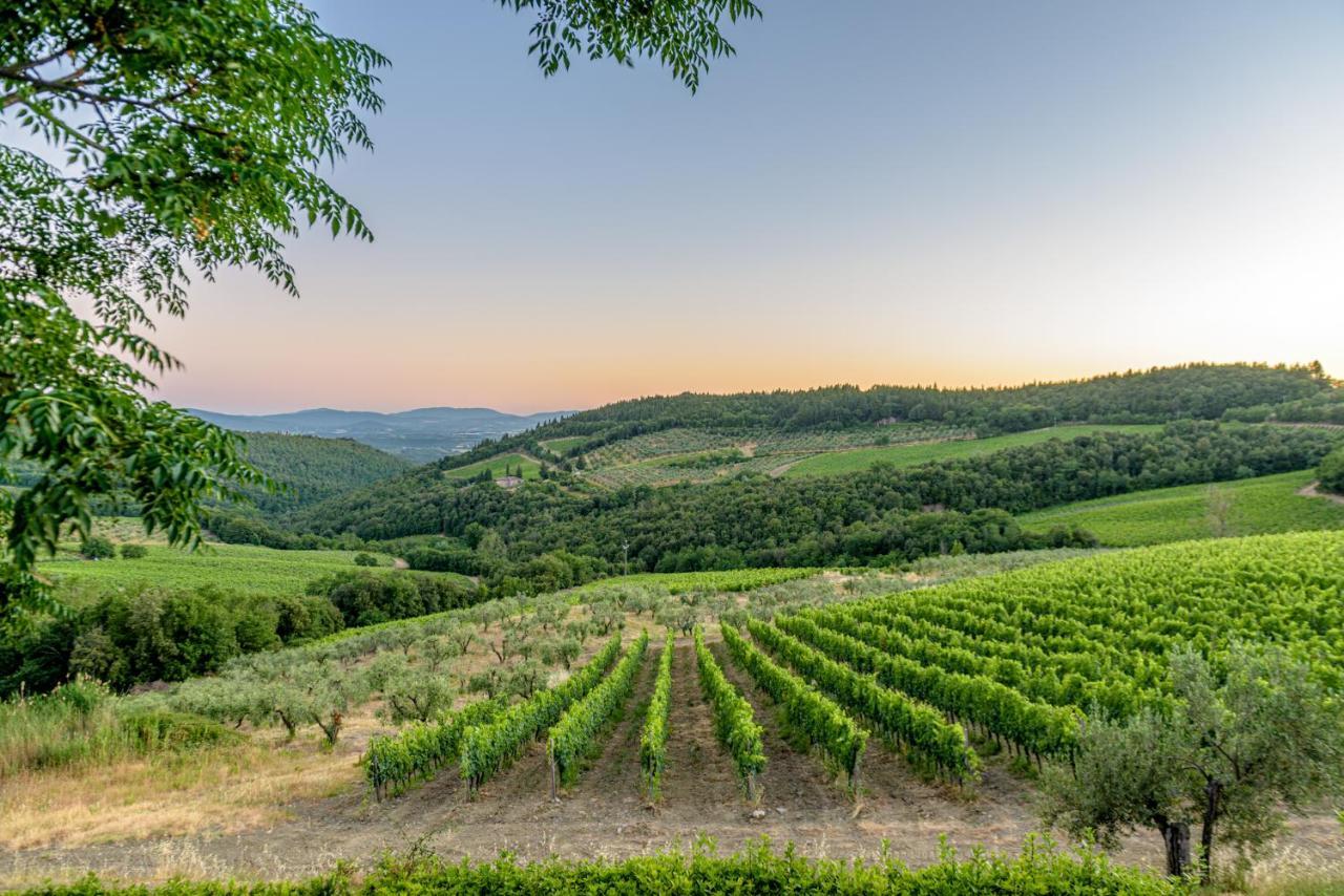 Agriturismo Concadoro Villa Castellina in Chianti Esterno foto