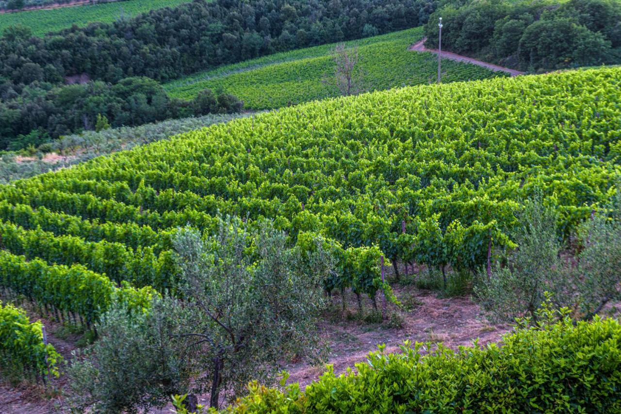 Agriturismo Concadoro Villa Castellina in Chianti Esterno foto